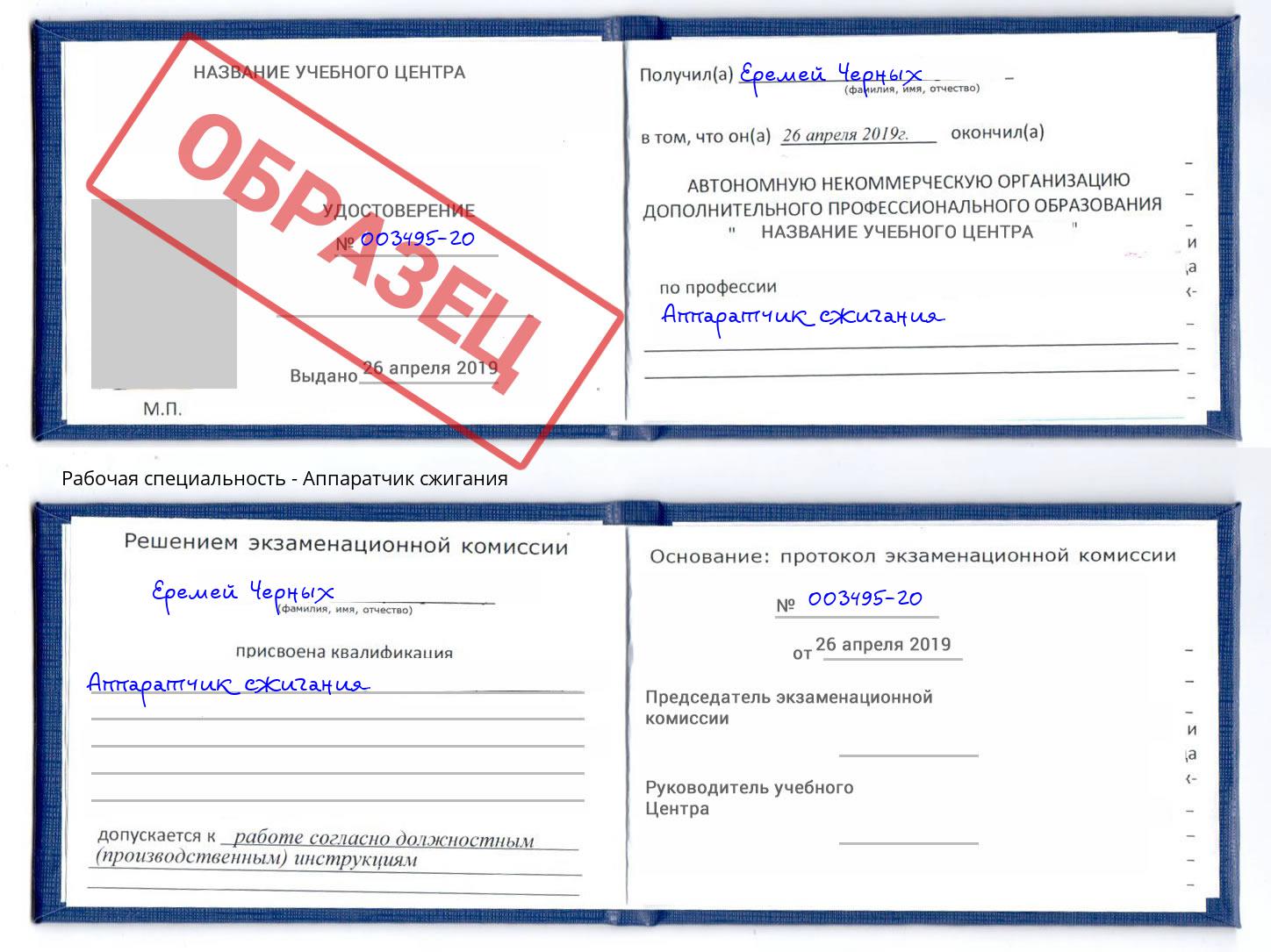 Аппаратчик сжигания Фурманов