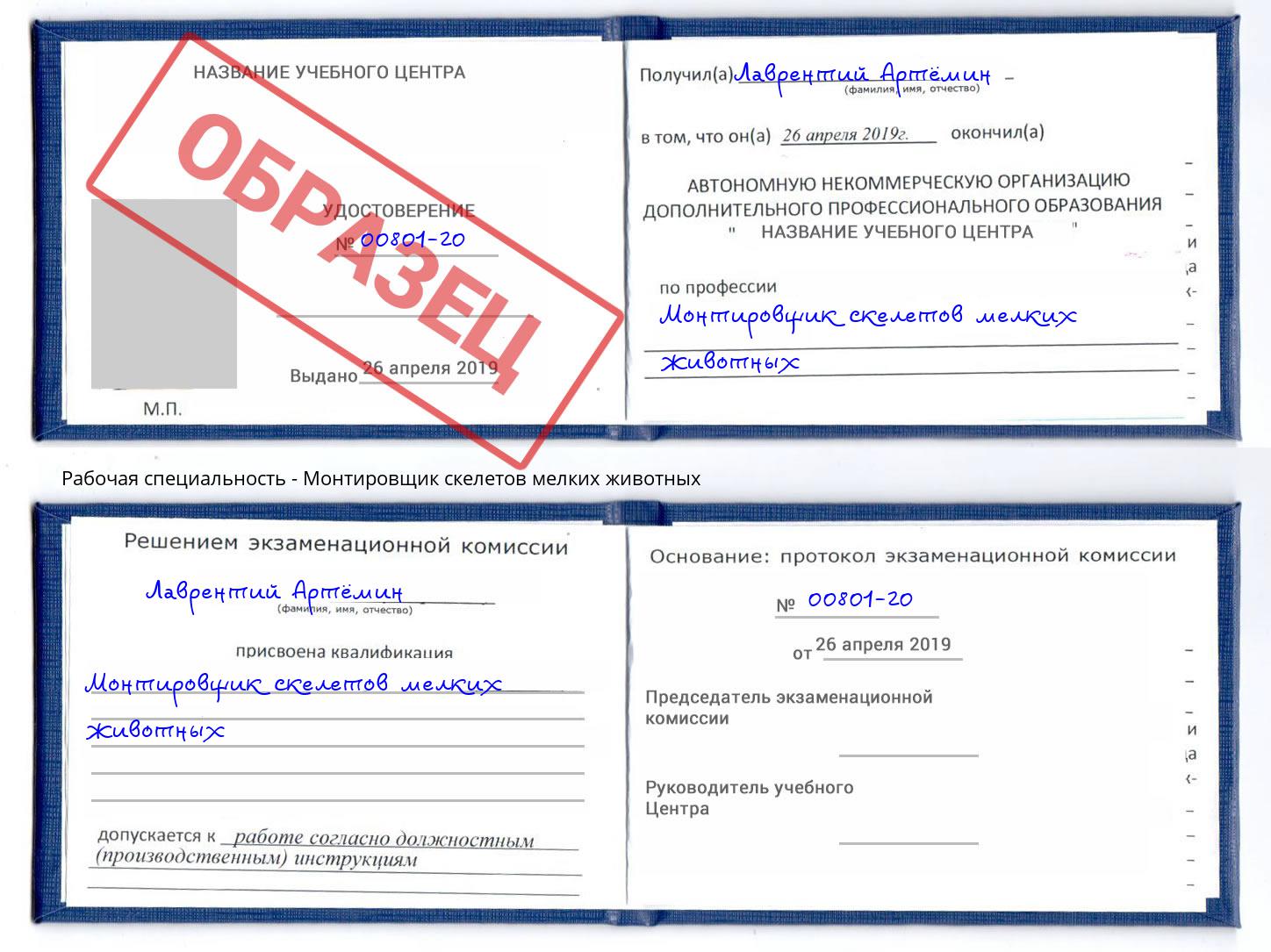 Монтировщик скелетов мелких животных Фурманов